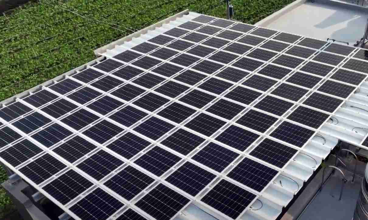 彩神vllSunSteel光电浪板升级双玻结构，，，，以提升机械负载强度及气候耐候度，，可广泛运用于多元场域